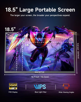 HGFRTEE 18.5-inch monitor angled view demonstrating wide IPS color range.