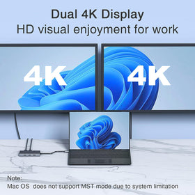 HODO rear outputs showing HDMI DisplayPort and VGA delivering multiple displays