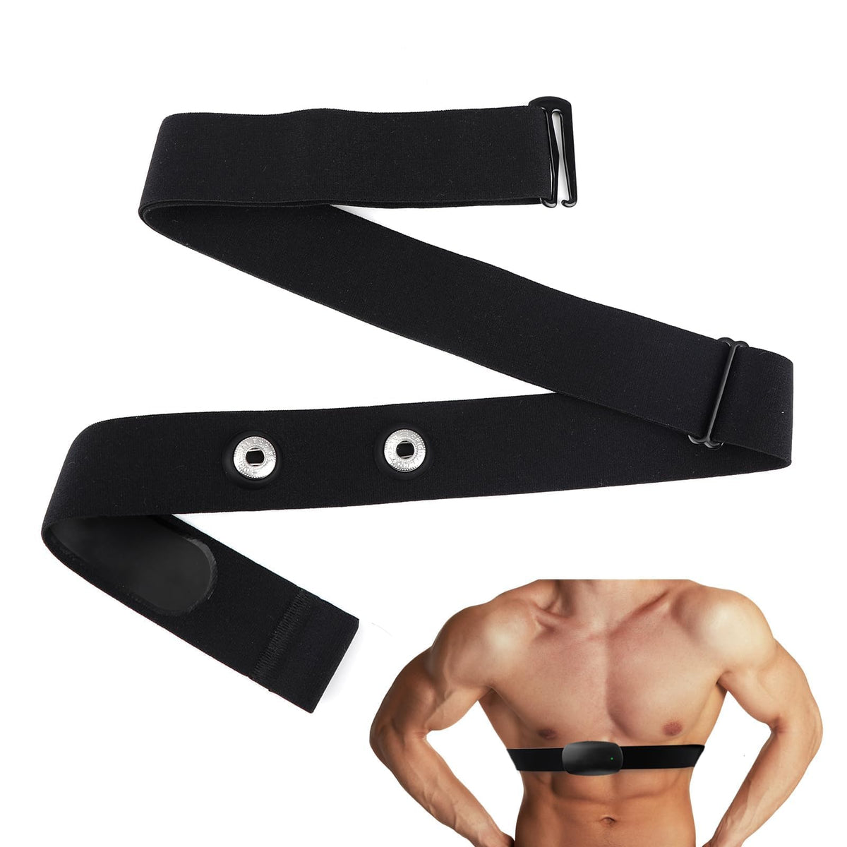 hoeslaw front view of black chest strap showing full length and design, ensures secure fit