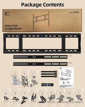 HOME VISION size comparison with large TV illustrating scale and capacity
