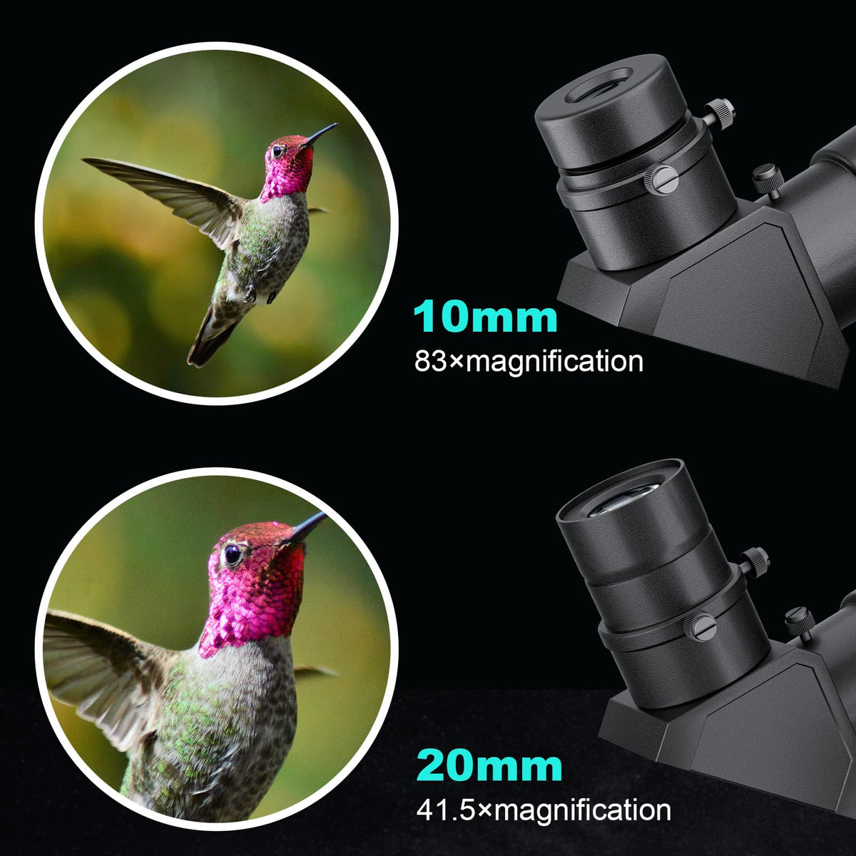 HOROX daytime telephoto use with smartphone for detailed daily captures.