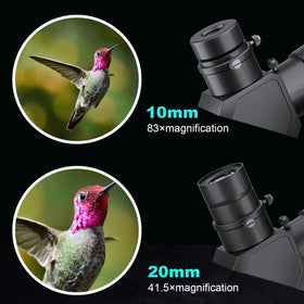 HOROX daytime telephoto use with smartphone for detailed daily captures.