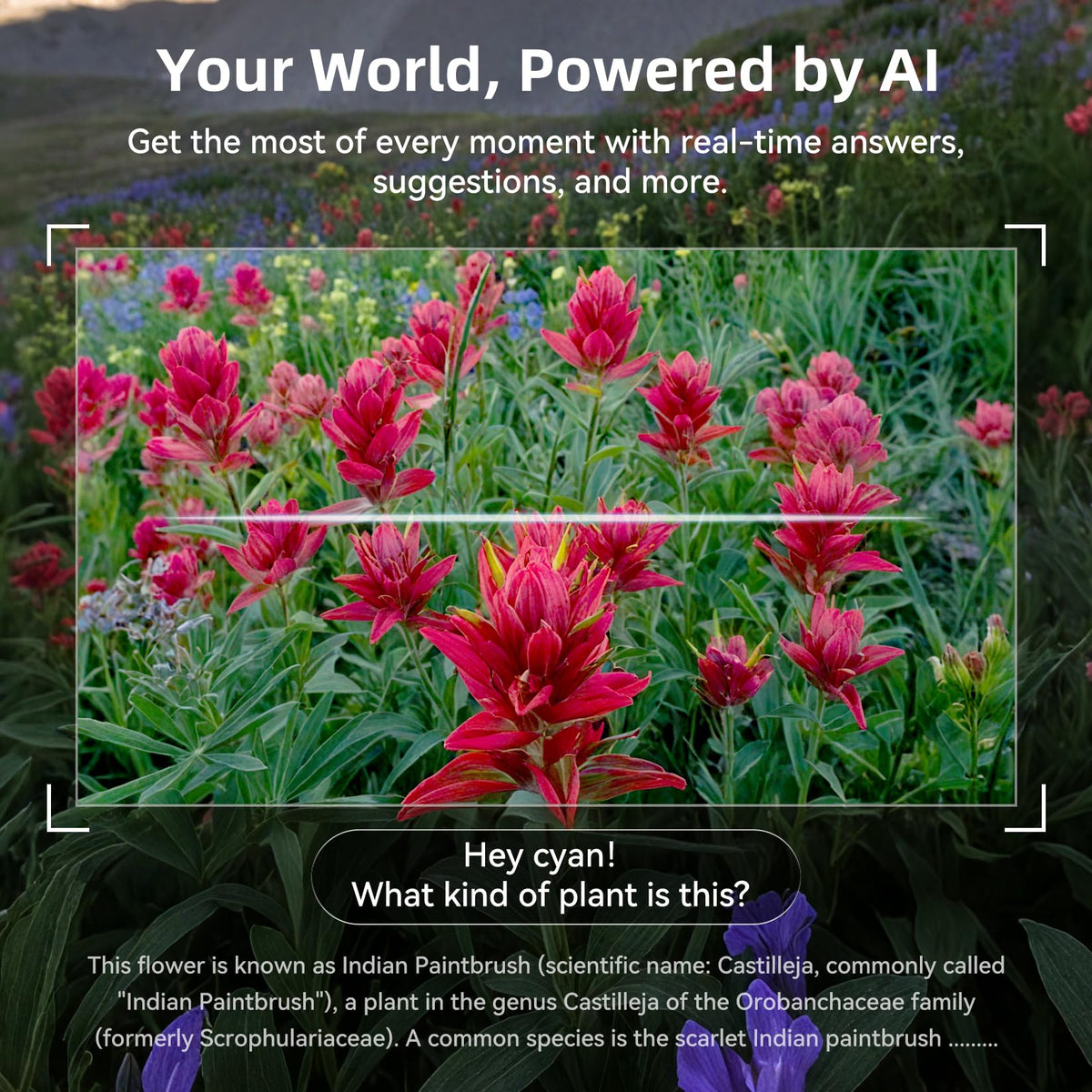 Hugur AI Smart Glasses include warranty and 24/7 support.