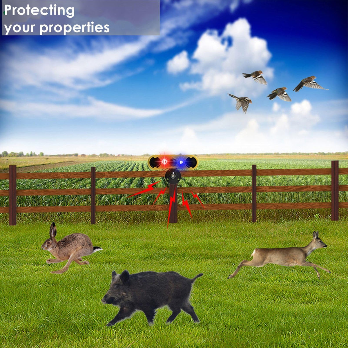HULPPRE red and blue strobe light activates to deter intruders at night