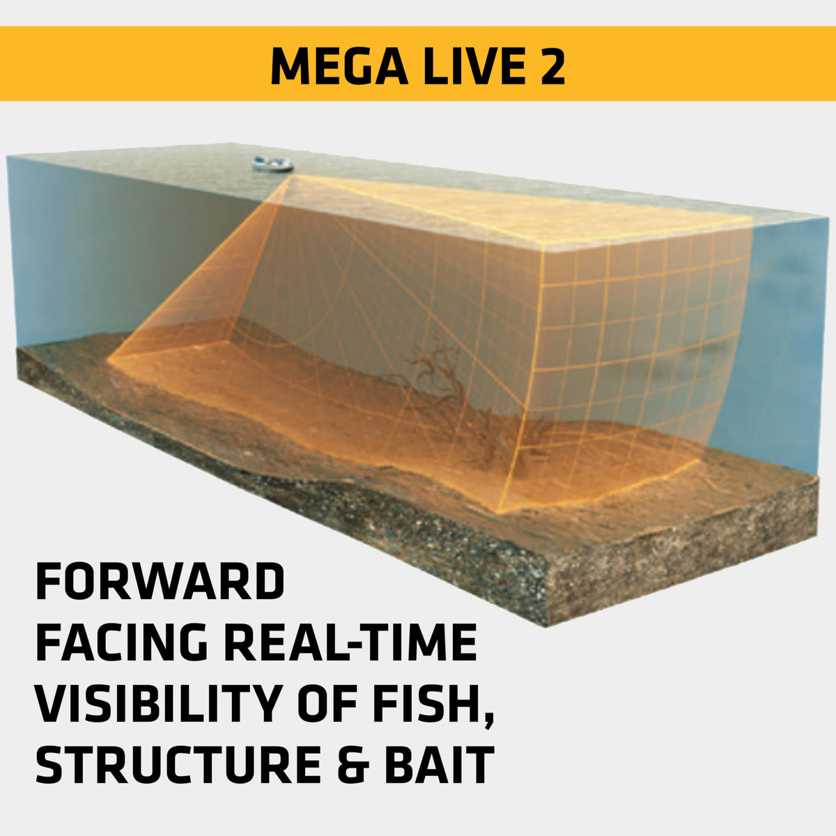 Humminbird MEGA Live 2 down imaging reveals underwater structure and fish detail for precise readings.