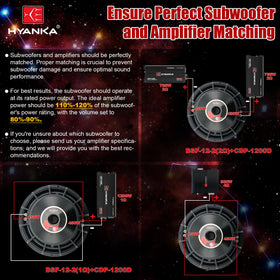 2.5-inch dual voice coil details support flexible impedance.