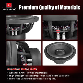 HYANKA BSF-12-4 back view shows dual voice coil layout and impedance.