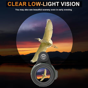 IBQ low-light viewing with FMC coating helps spot details at dusk