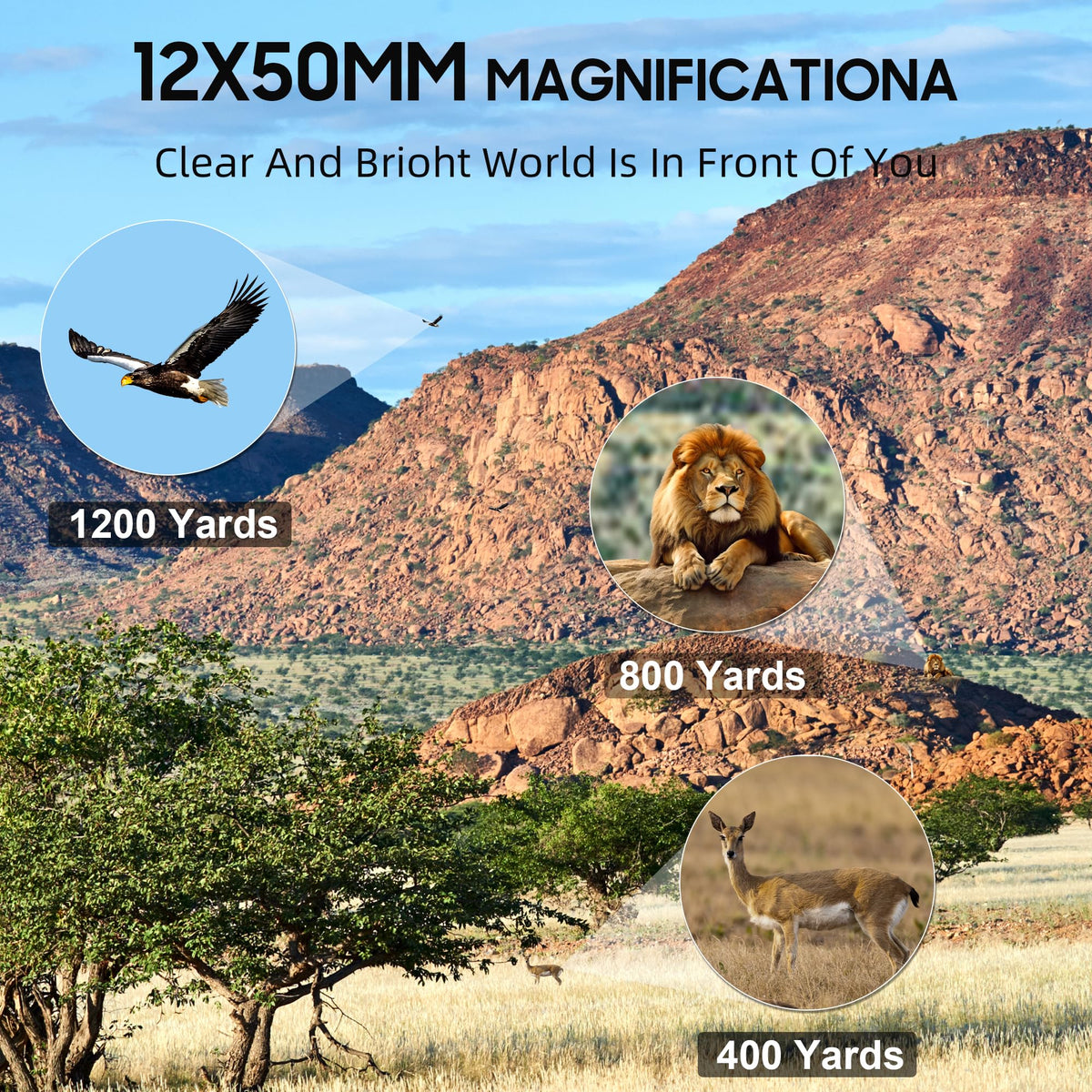 IBQ used in birdwatching setting showing crisp views and identification benefits