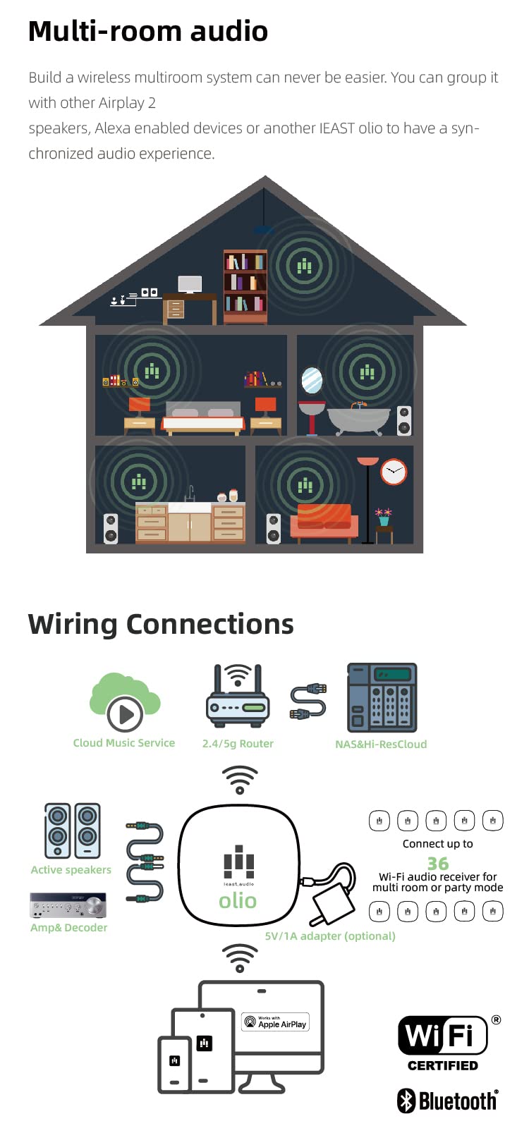 iEAST Olio rear outputs image showing AUX and optical ports for flexible connections