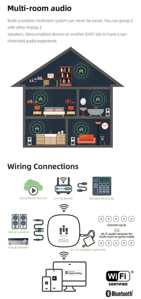 iEAST Olio rear outputs image showing AUX and optical ports for flexible connections