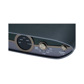 ifi Zen Phono 3 RCA outputs for clean analog signal transmission
