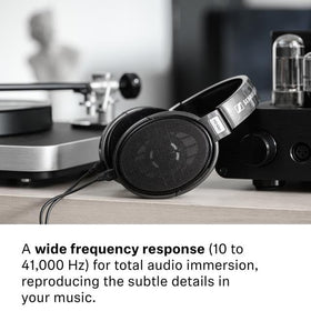 Sennheiser Consumer Audio HD 650 - Audiophile Hi-Res Open Back Dynamic Headphone, Titan