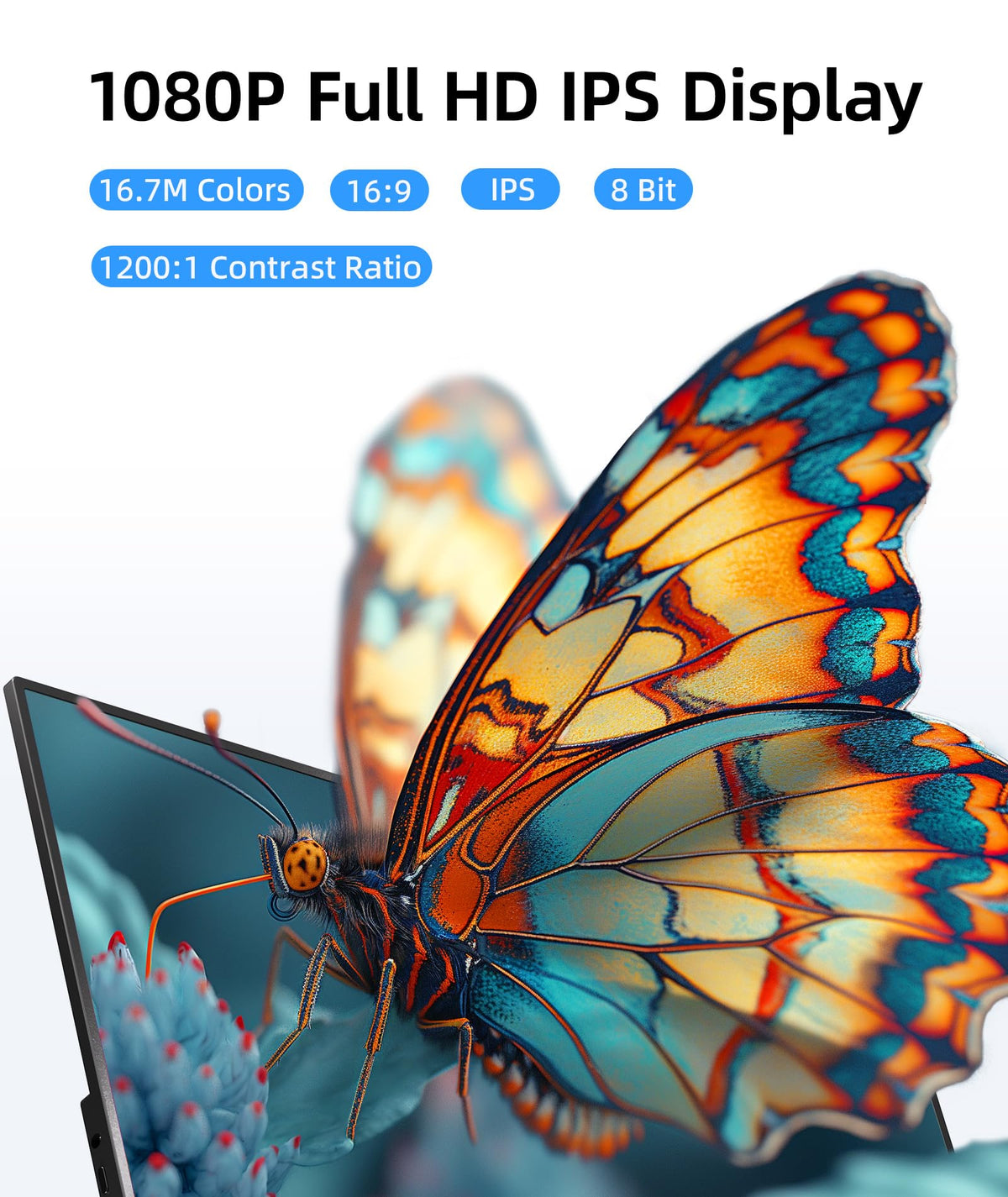 Ingnok close-up of IPS panel showing crisp text and accurate color