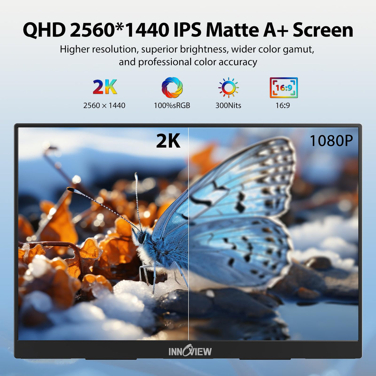 InnoView 2K QHD display demo with vibrant detail and color depth