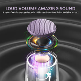 INSMY C17-MAX 5W driver with passive radiator for richer audio