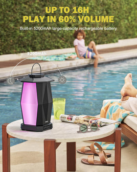 Inwa MZ-320 two pack powers patio, yard, and poolside listening.