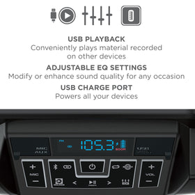 ION Sport Boom USB port, play from USB and charge devices