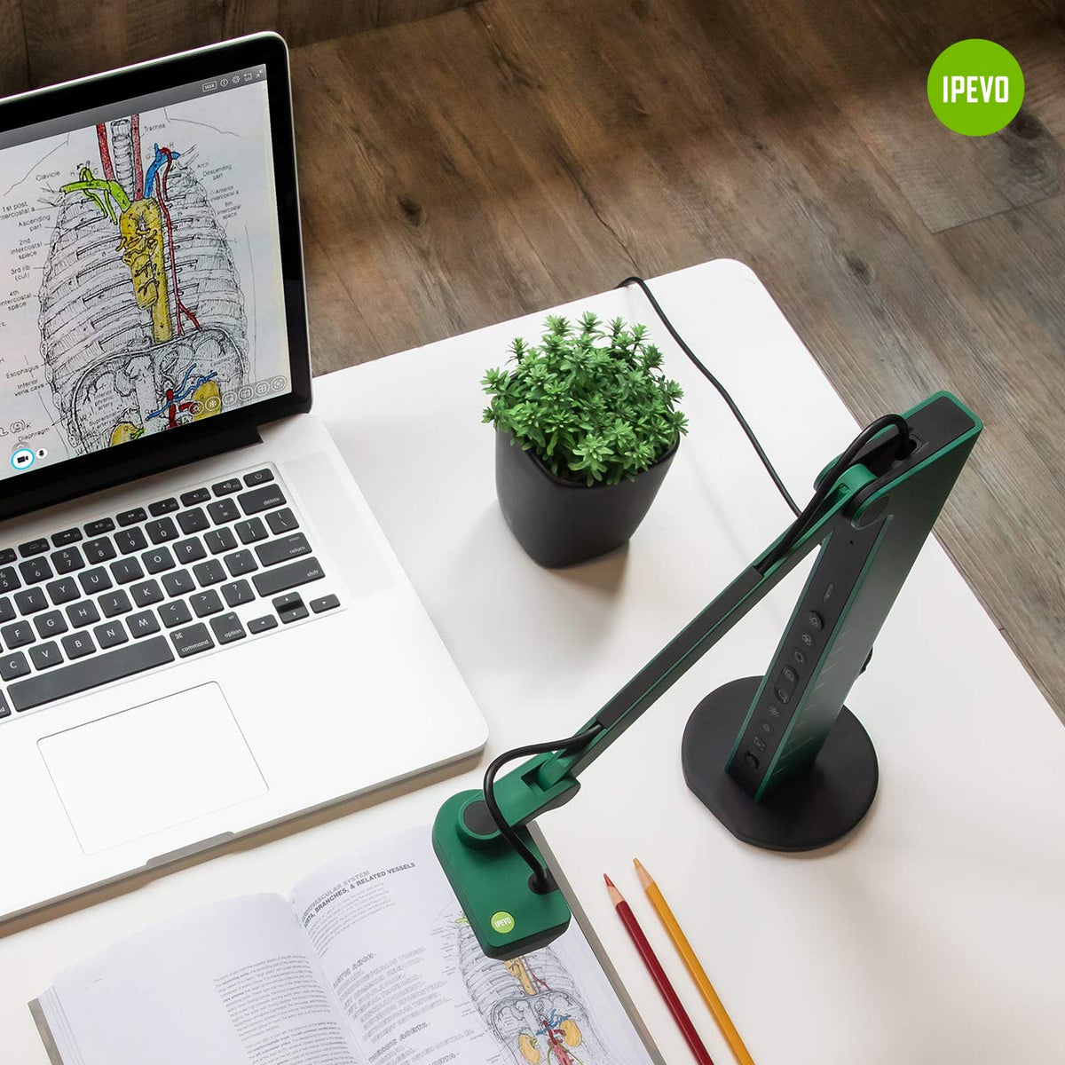 IPEVO VZ-R USB computer workflow for web conferences