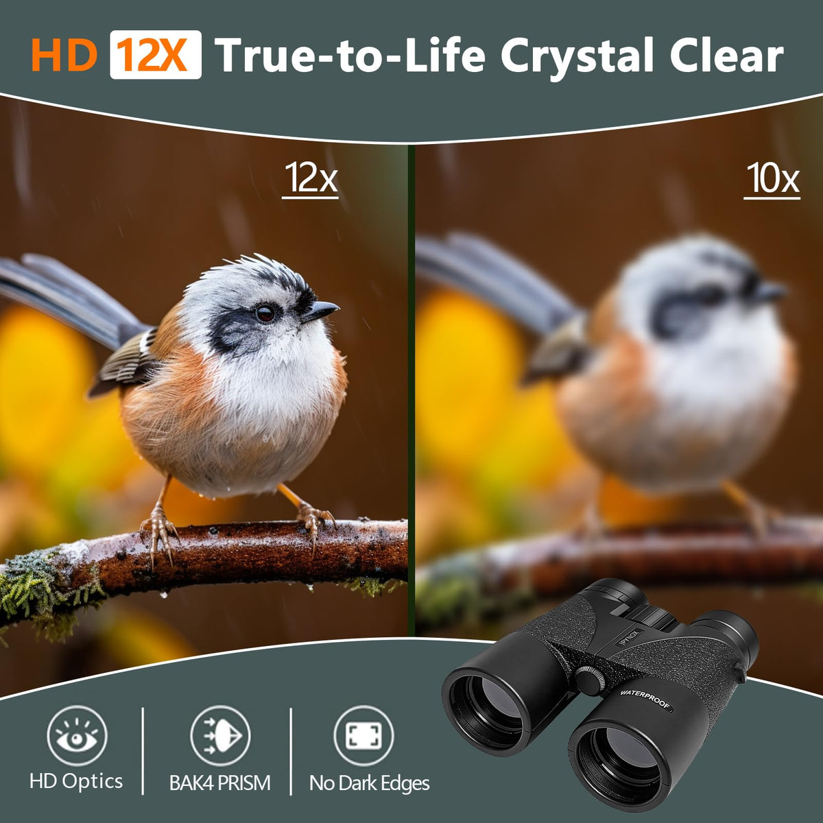 IPYNOKC close-up of coated 42mm lens delivering brighter images