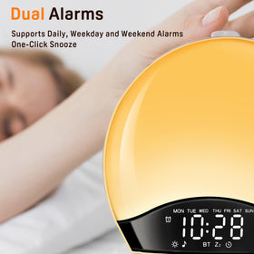 JALL held in hand for size scale to show compact footprint and bedside fit