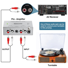 Jancane close-up of stereo RCA inputs enabling simple turntable hookup