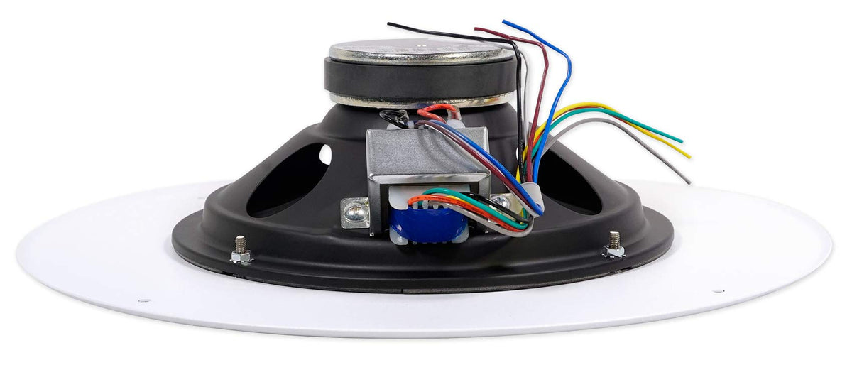 JBL CSS8008 next to a hand showing scale and compact commercial footprint