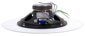 JBL CSS8008 next to a hand showing scale and compact commercial footprint