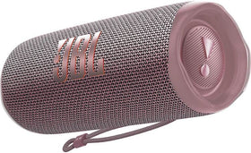 JBL Flip 6 packed in a backpack on a hiking trail showing rugged travel readiness