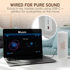 JBL Flip 7 with PushLock accessories for hands-free carry.