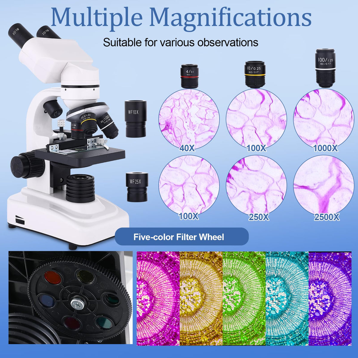 JECONE binocular head with 45-degree viewing angle reduces strain during shared viewing.