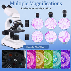 JECONE binocular head with 45-degree viewing angle reduces strain during shared viewing.
