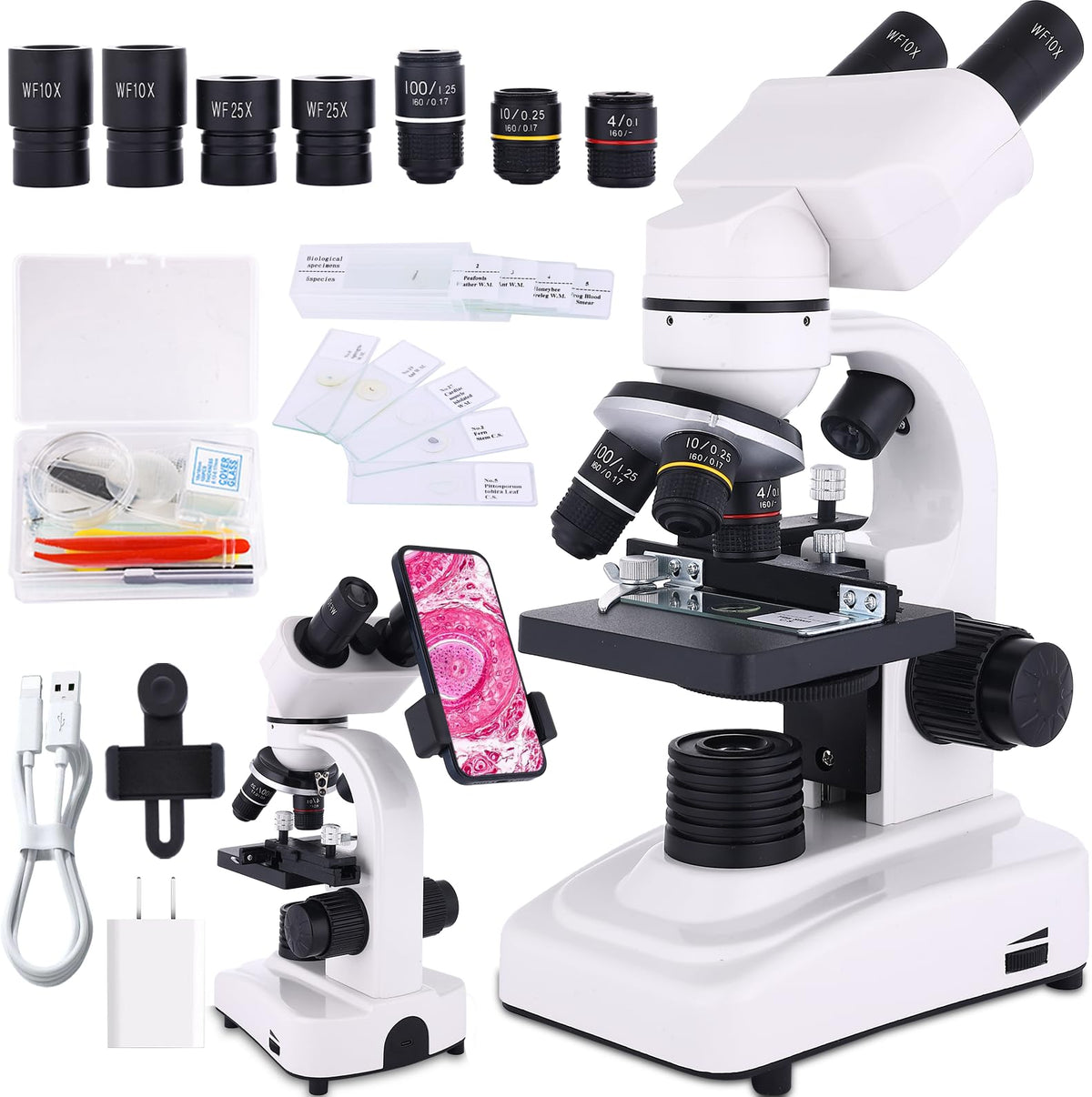JECONE microscope with dual illumination for opaque and translucent samples, great for classrooms.