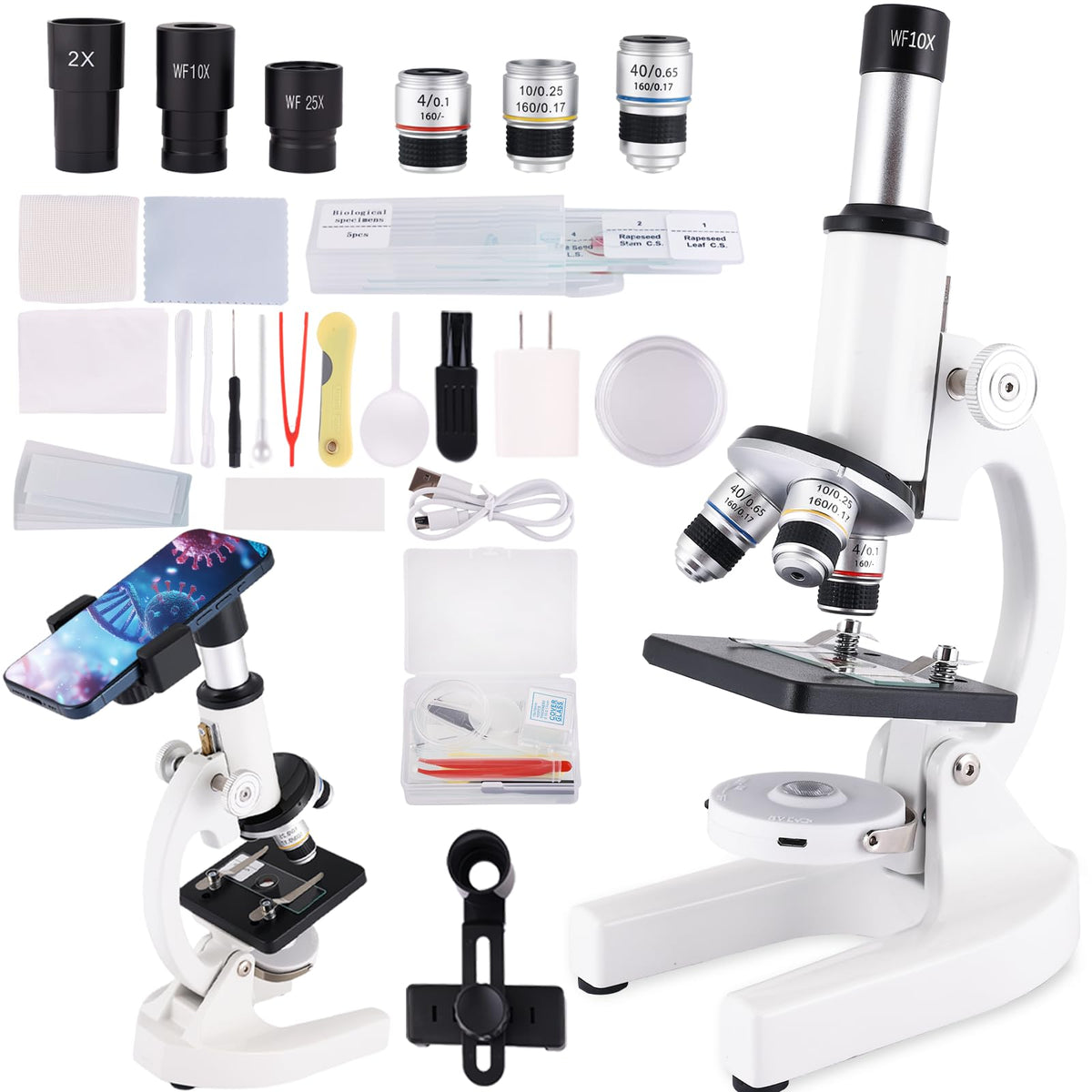 JECONE microscope eyepieces view for clear, detailed observation.