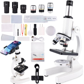 JECONE microscope eyepieces view for clear, detailed observation.