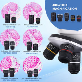 JECONE microscope six-level magnification for detailed observation