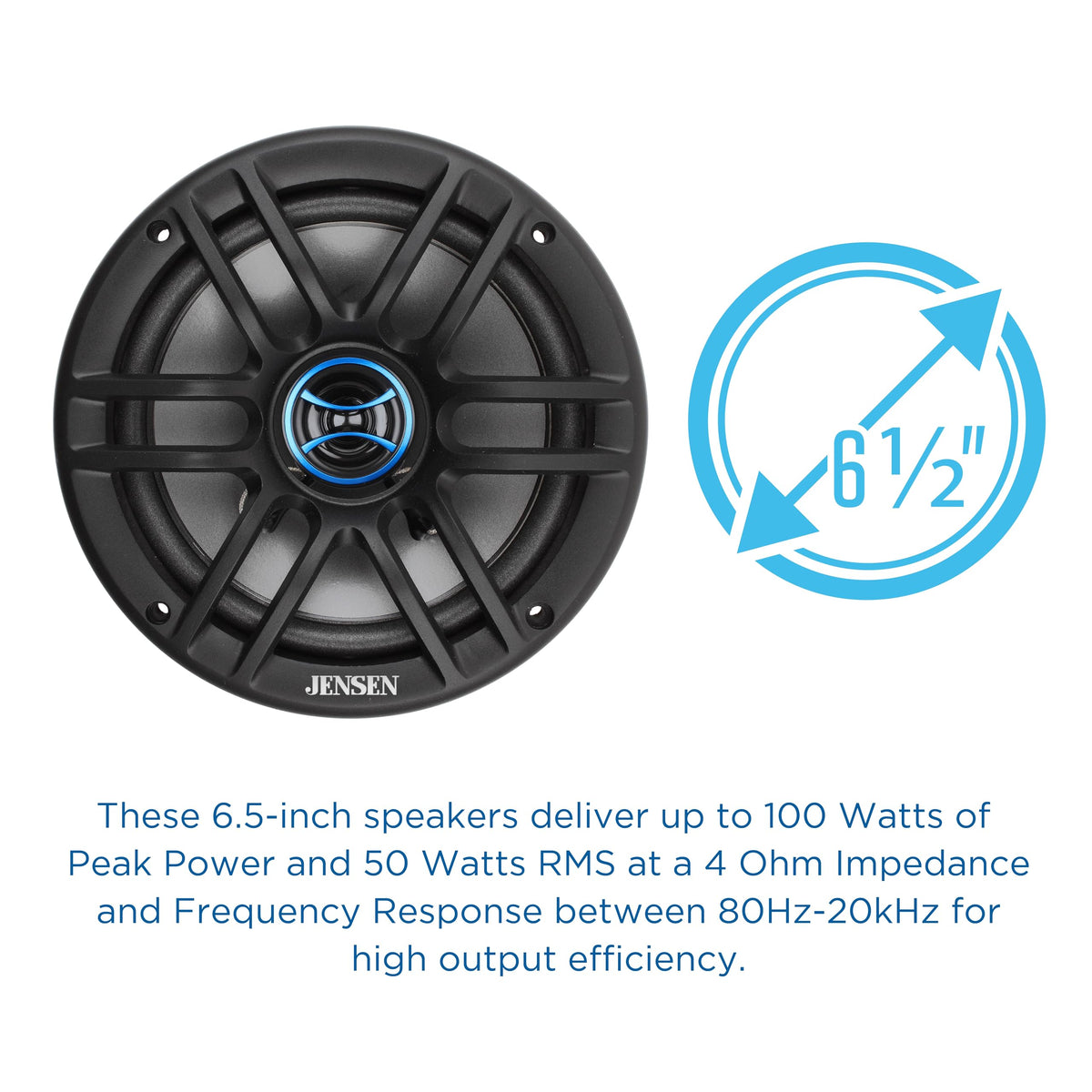 Jensen JS62 woofer cone close-up delivers warm, natural tones.