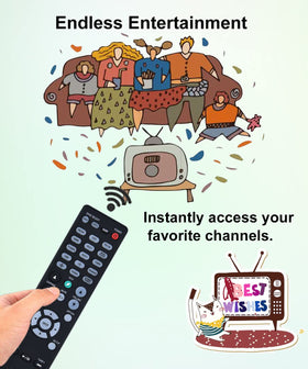JISOWA remote placed beside Denon receiver to illustrate compatibility