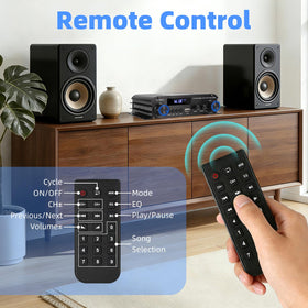 Joengoep amplifier connected to an active subwoofer delivering fuller sound