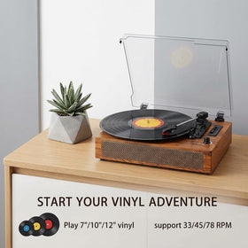 JUNGLE MONSTER stereo speakers and control panel offering clear audio control