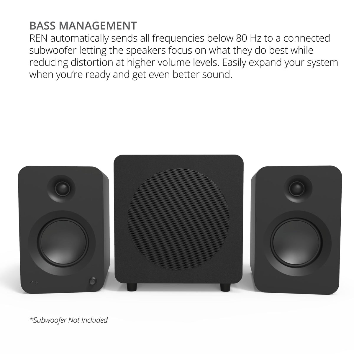 Kanto REN bass management with subwoofer output for cleaner highs