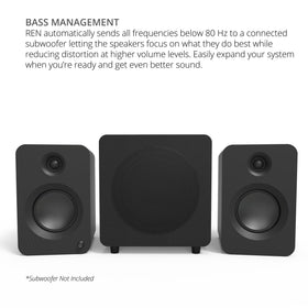 Kanto REN bass management with subwoofer output for cleaner highs