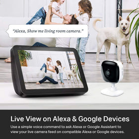 Kasa Smart EC60 in a living room streaming to smartphone for monitoring