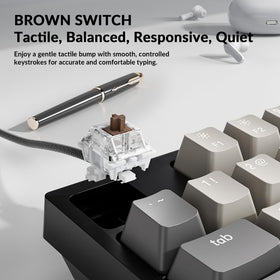 Keychron switch detail showing K Pro Brown tactile switch for smooth feedback