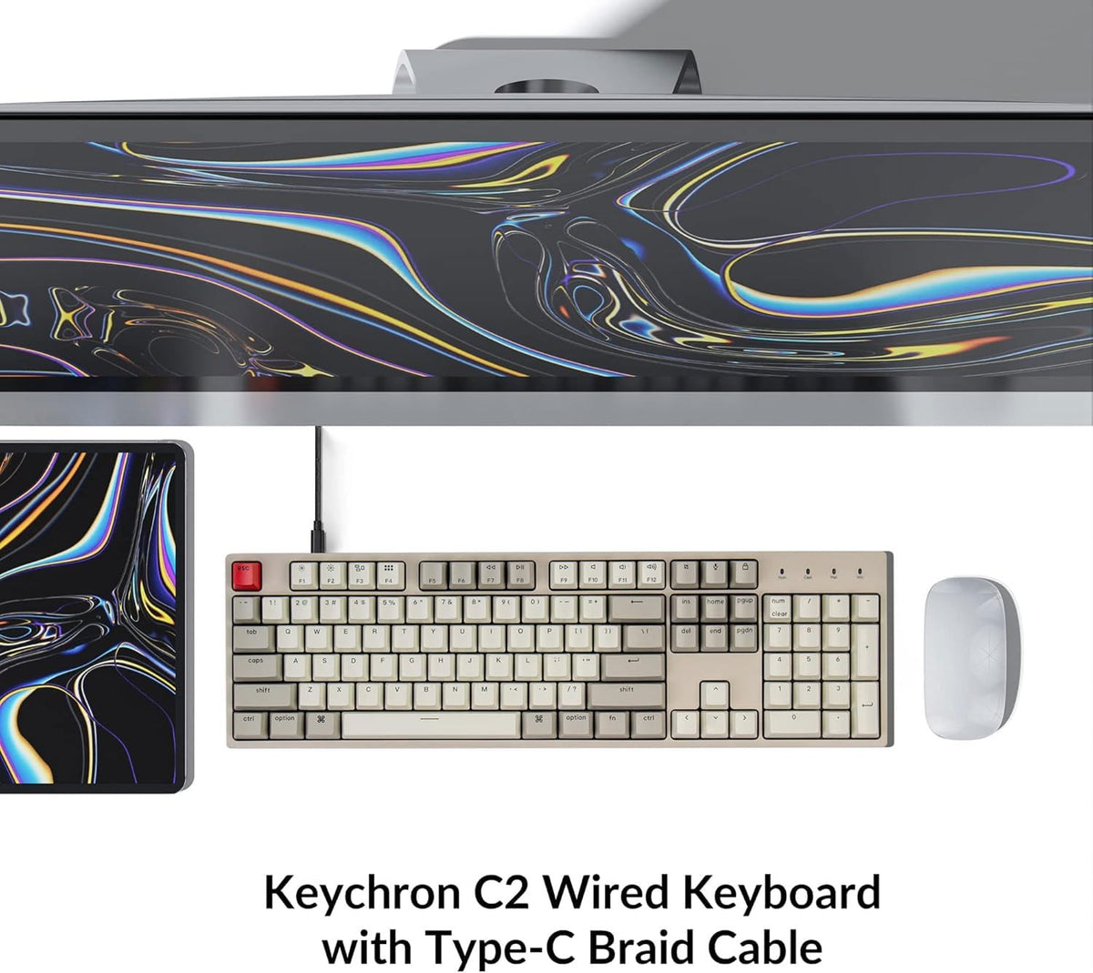 Keychron C2 brown switch close-up showing tactile stem and reliable responsiveness benefit