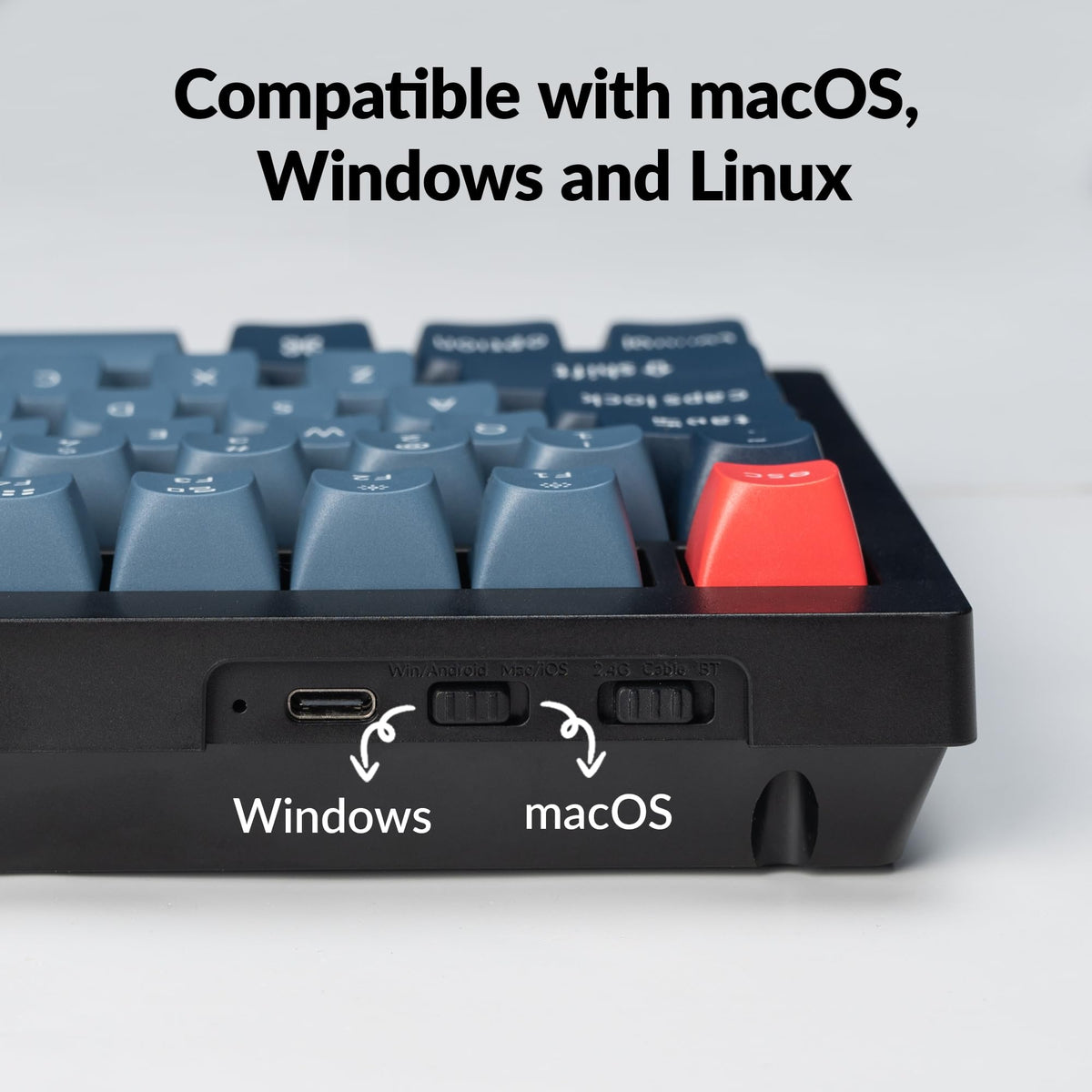 Keychron V1 Max RGB backlight on south-facing keycaps for vivid visibility.