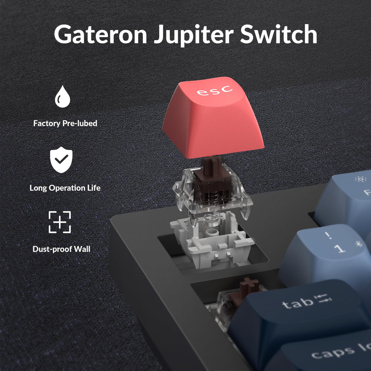 Keychron V5 Max PBT keycaps close-up emphasize oil resistance and durable legends.