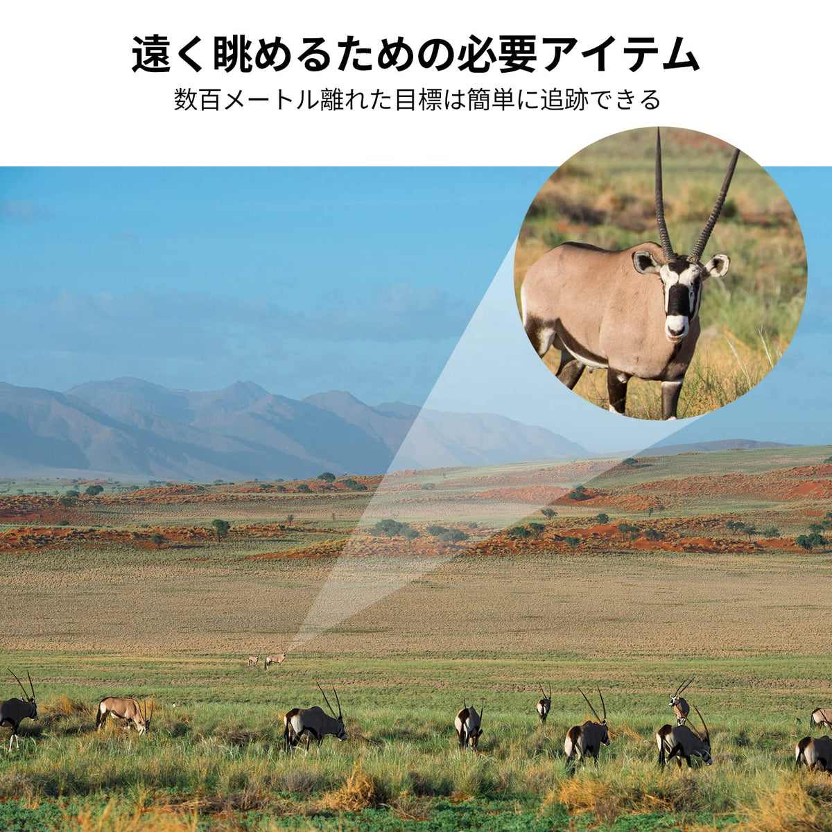 K&F CONCEPT monocular on tripod for steady viewing benefit