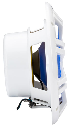 KICKER 51KM604WL uv-treated cone resists sun and improves long-term performance.