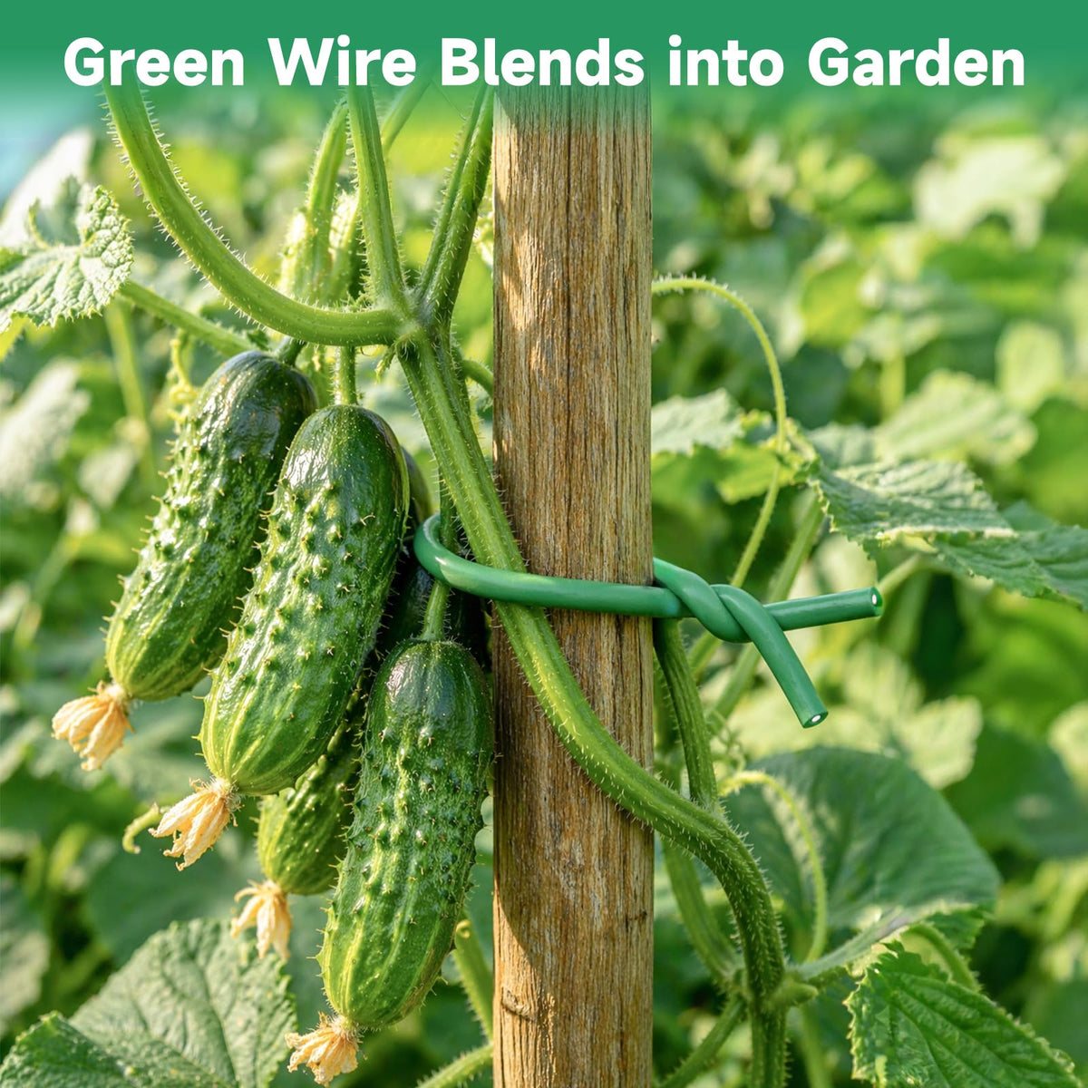 Kinglake reusable garden wire can be untwisted and used again season to season.